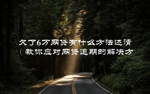 欠了6万网贷有什么方法还清（教你应对网贷逾期的解决方案）