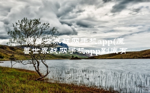 魔兽世界战网手机app(魔兽世界战网手机app到底有哪些充值方式可以选择)