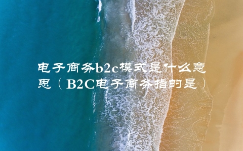 电子商务b2c模式是什么意思（B2C电子商务指的是）