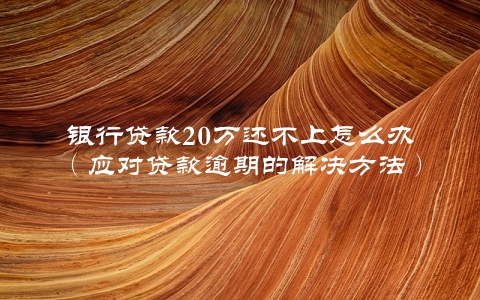 银行贷款20万还不上怎么办（应对贷款逾期的解决方法）