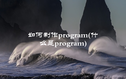 如何制作program(什么是program)