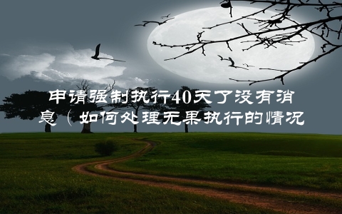 申请强制执行40天了没有消息（如何处理无果执行的情况）