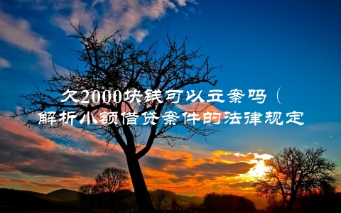 欠2000块钱可以立案吗（解析小额借贷案件的法律规定）