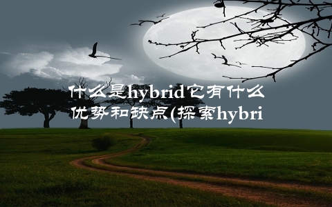 什么是hybrid它有什么优势和缺点(探索hybrid应用在移动互联网上的发展趋势)
