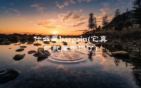 什么是bargain(它真的就属于你了)