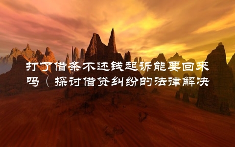 打了借条不还钱起诉能要回来吗（探讨借贷纠纷的法律解决途径）