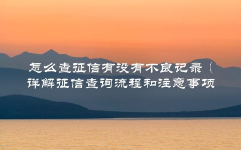 怎么查征信有没有不良记录（详解征信查询流程和注意事项）