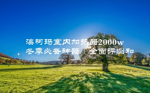 澳柯玛室内加热器2000w，冬季必备神器（全面评测和购买指南）