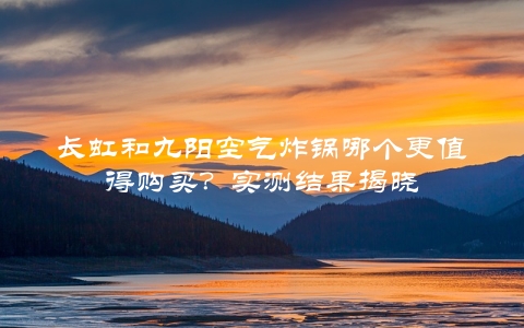 长虹和九阳空气炸锅哪个更值得购买？实测结果揭晓