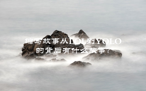 缩写故事从LOL到YOLO的背后有什么故事？