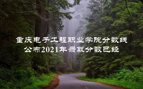 重庆电子工程职业学院分数线公布2021年录取分数已经出炉