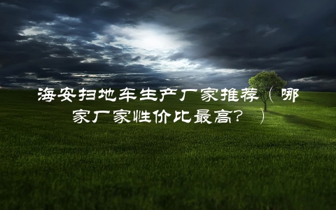 海安扫地车生产厂家推荐（哪家厂家性价比最高？）