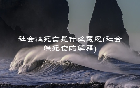 社会性死亡是什么意思(社会性死亡的解释)