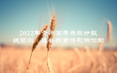 2022年贵州高考录取分数线预测（这些因素将影响你的录取结果）