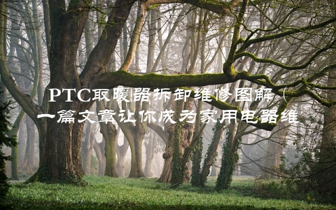 PTC取暖器拆卸维修图解（一篇文章让你成为家用电器维修高手）