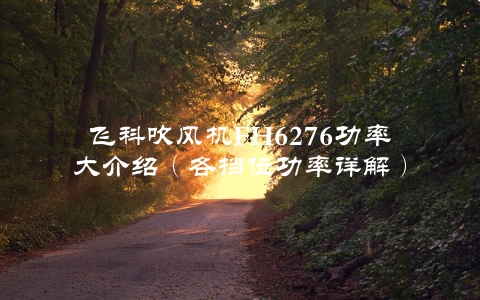 飞科吹风机FH6276功率大介绍（各挡位功率详解）