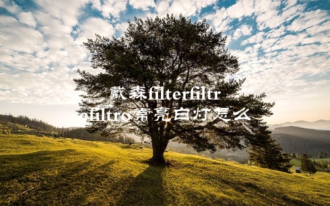 戴森filterfiltrefiltro常亮白灯怎么解决？（教你三招快速应对）