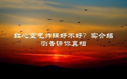 红心空气炸锅好不好？实介绍测告诉你真相