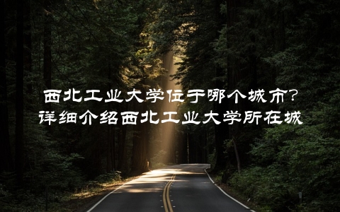 西北工业大学位于哪个城市？详细介绍西北工业大学所在城市的情况