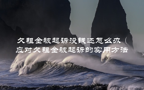 欠租金被起诉没钱还怎么办（应对欠租金被起诉的实用方法）