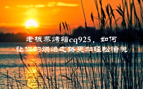 老板蒸烤箱cq925，如何让你的烘焙之路更加轻松愉悦？