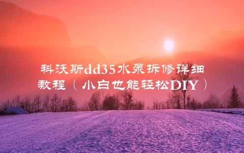 科沃斯dd35水泵拆修详细教程（小白也能轻松DIY）