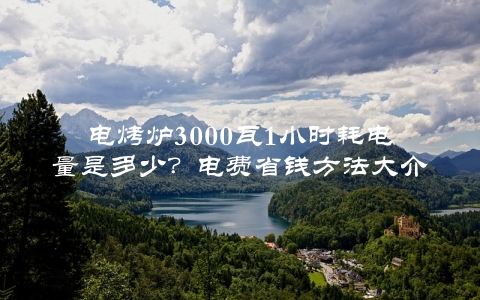 电烤炉3000瓦1小时耗电量是多少？电费省钱方法大介绍