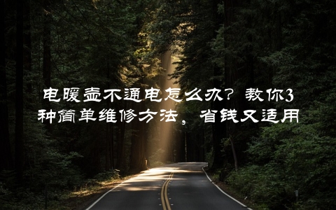 电暖壶不通电怎么办？教你3种简单维修方法，省钱又适用