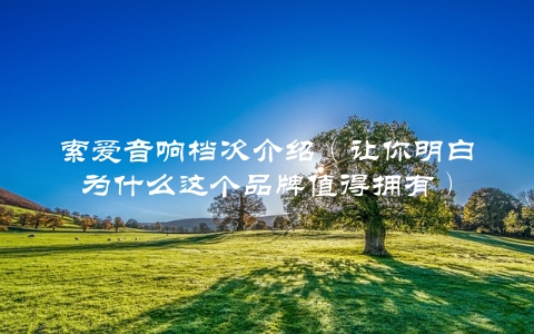 索爱音响档次介绍（让你明白为什么这个品牌值得拥有）