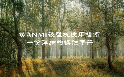 WANMI破壁机使用指南（一份详细的操作手册）