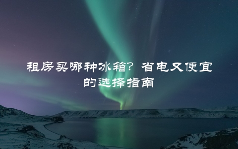 租房买哪种冰箱？省电又便宜的选择指南