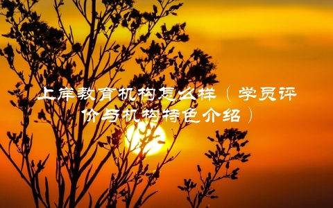 上岸教育机构怎么样（学员评价与机构特色介绍）