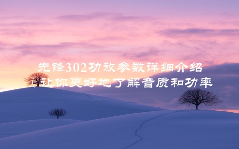 先锋302功放参数详细介绍（让你更好地了解音质和功率）