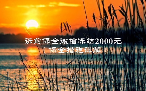 诉前保全微信冻结2000元（保全措施详解）