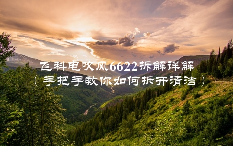 飞科电吹风6622拆解详解（手把手教你如何拆开清洁）