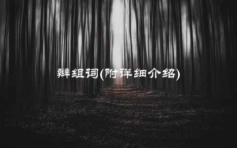 辫组词(附详细介绍)