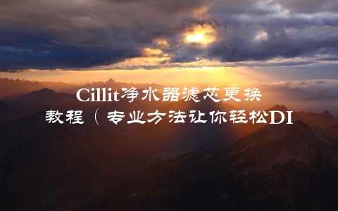 Cillit净水器滤芯更换教程（专业方法让你轻松DIY）