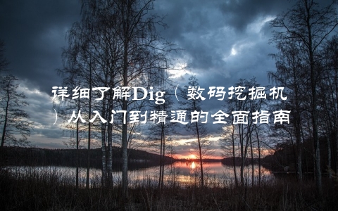 详细了解Dig（数码挖掘机）从入门到精通的全面指南