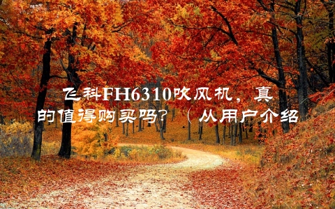 飞科FH6310吹风机，真的值得购买吗？（从用户介绍中看出真相）