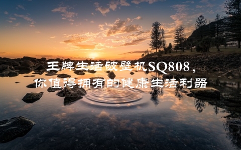 王牌生活破壁机SQ808，你值得拥有的健康生活利器