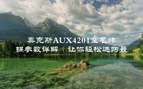 奥克斯AUX4201空气炸锅参数详解（让你轻松选购最适合的空气炸锅）