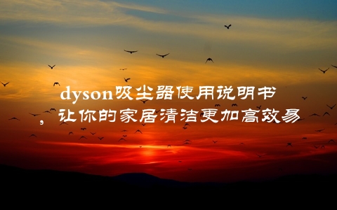 dyson吸尘器使用说明书，让你的家居清洁更加高效易懂