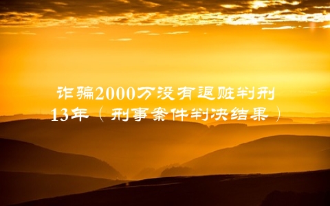 诈骗2000万没有退赃判刑13年（刑事案件判决结果）