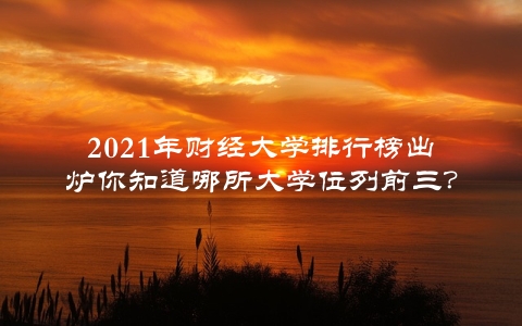 2021年财经大学排行榜出炉你知道哪所大学位列前三？