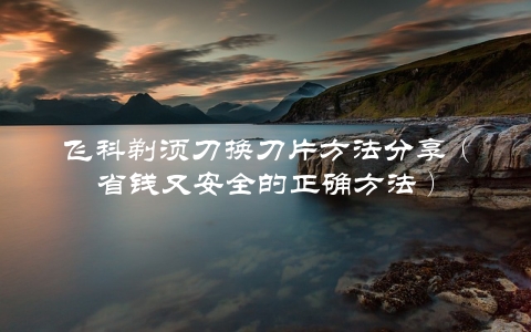 飞科剃须刀换刀片方法分享（省钱又安全的正确方法）