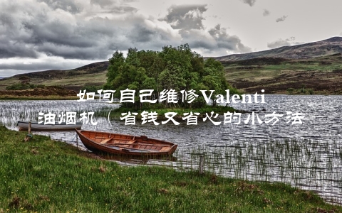 如何自己维修Valenti油烟机（省钱又省心的小方法）