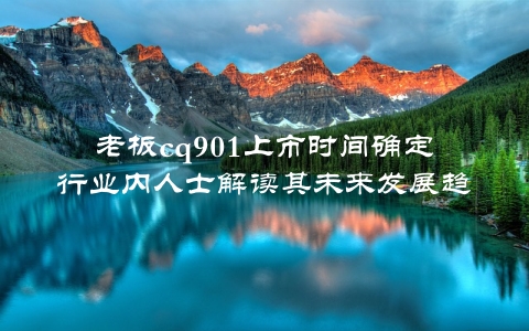 老板cq901上市时间确定行业内人士解读其未来发展趋势