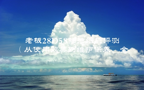 老板28D5S抽油烟机评测（从使用效果到维护保养，全面介绍）