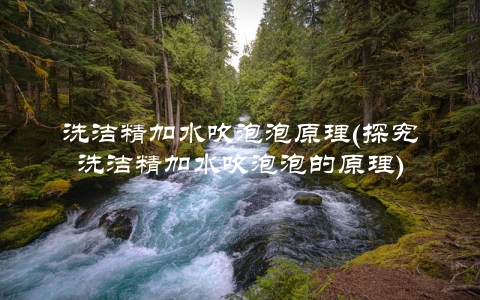 洗洁精加水吹泡泡原理(探究洗洁精加水吹泡泡的原理)