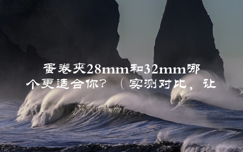 蛋卷夹28mm和32mm哪个更适合你？（实测对比，让你轻松选购）